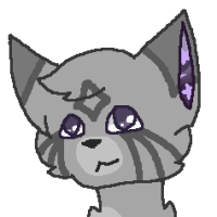 Thumbnail for OWN-0155