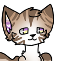 Thumbnail for OWN-0236