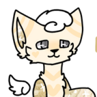 Thumbnail for OWN-0237